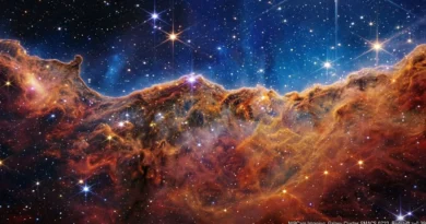 Scienza 2026: ricerca, fisica, clima, spazio e biologia