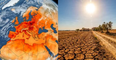 Cambiamento Climatico 2026: i Record di Temperatura WMO Spiegati