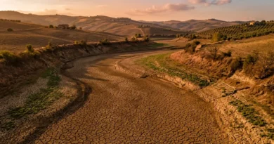 Rapporto ISPRA 2026: La Crisi Idrica Italiana Costa 13,4 Miliardi l'Anno